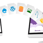 Website Migration Service